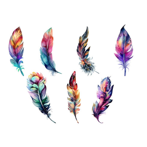 Floral Feather Clipart Watercolor cover image.