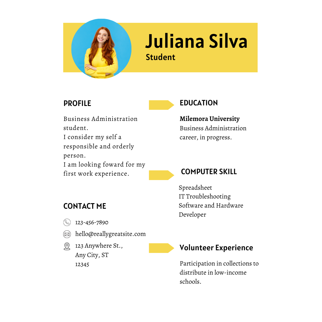 Professional Student Resume / CV Template preview image.