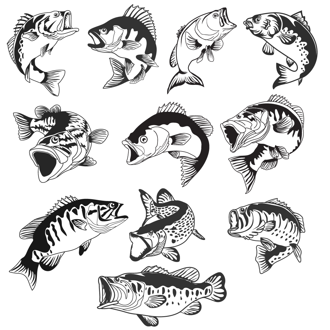 Bass fish vector illustration
