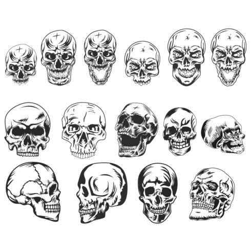 Human skull vector illustration cover image.