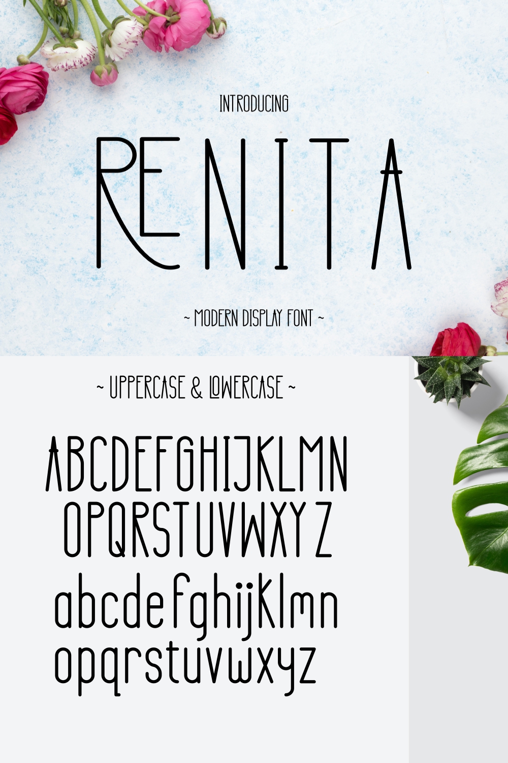 Renita - Modern Display Font pinterest preview image.
