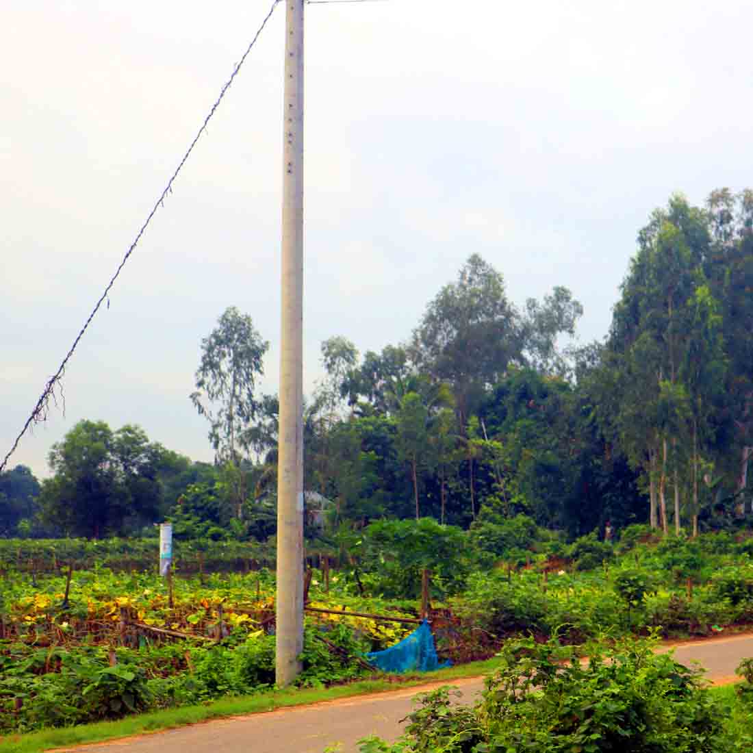 Tree Ghar village people & roads stock photos in Bangladesh preview image.