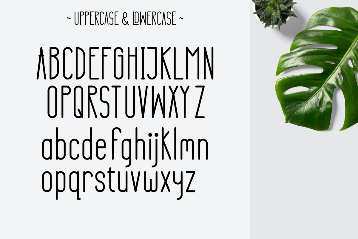 6 character uppercase lowercase renita font 861