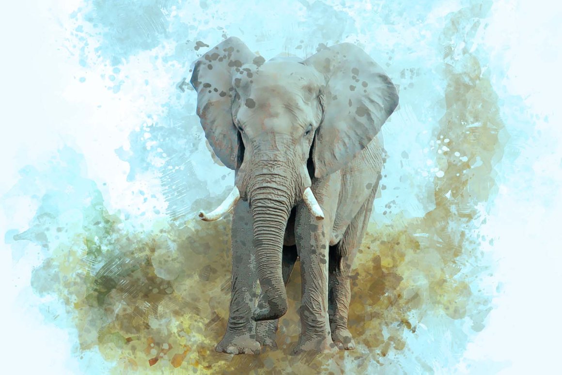 animal digital painting 09 67