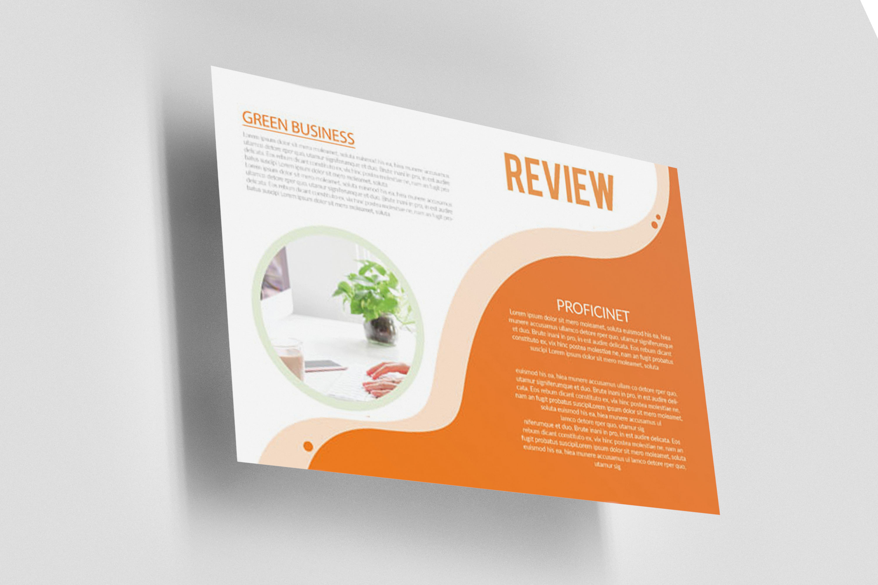 business portfolio brochure 6 775