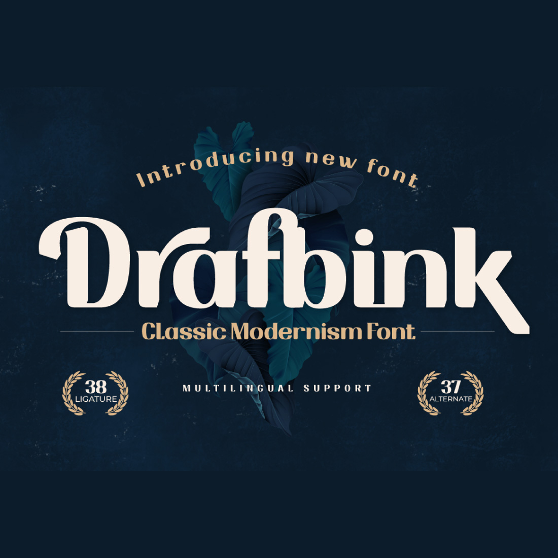 Drafbink | Serif Classic Modernism preview image.