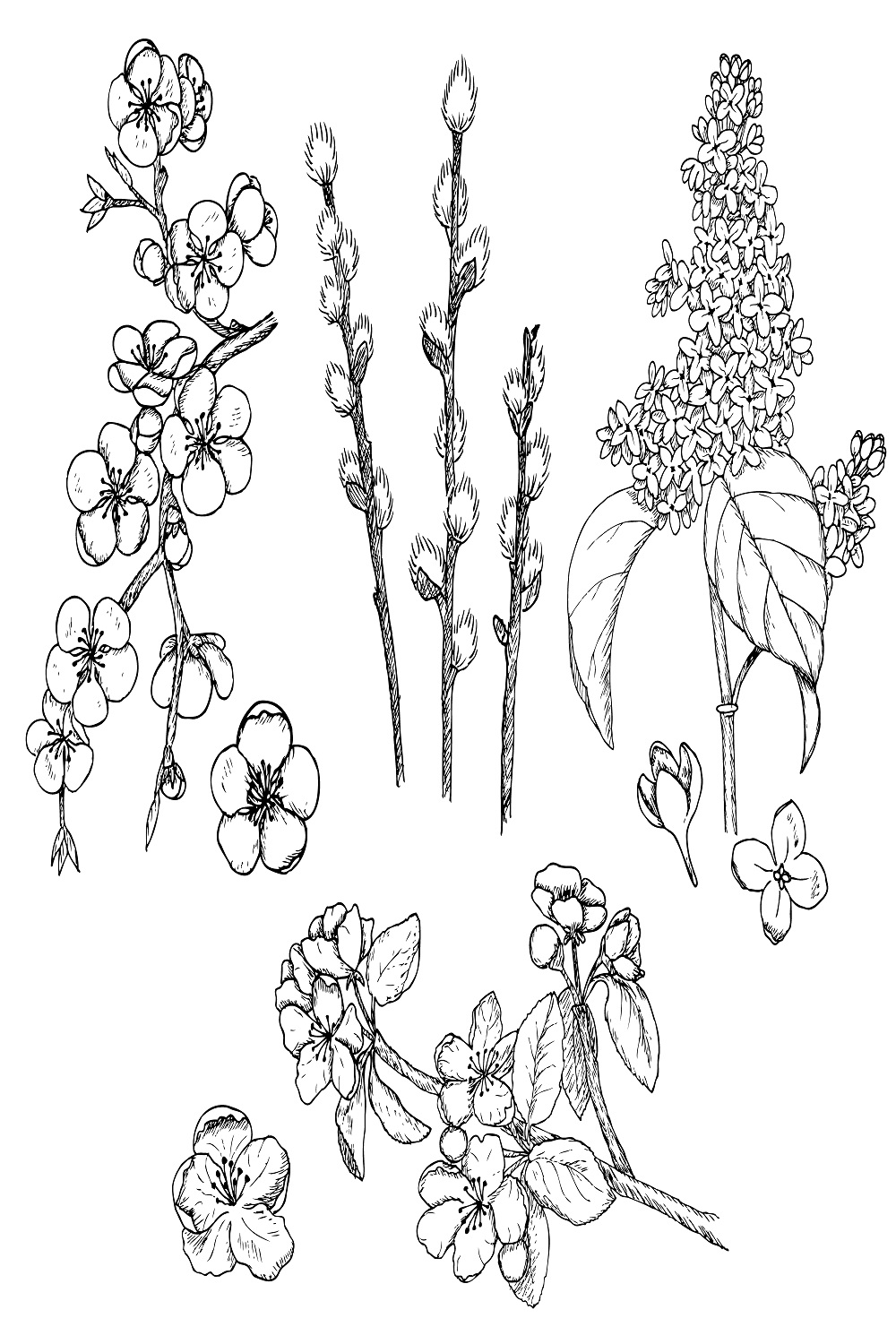 Hand drawn spring natural collection pinterest preview image.