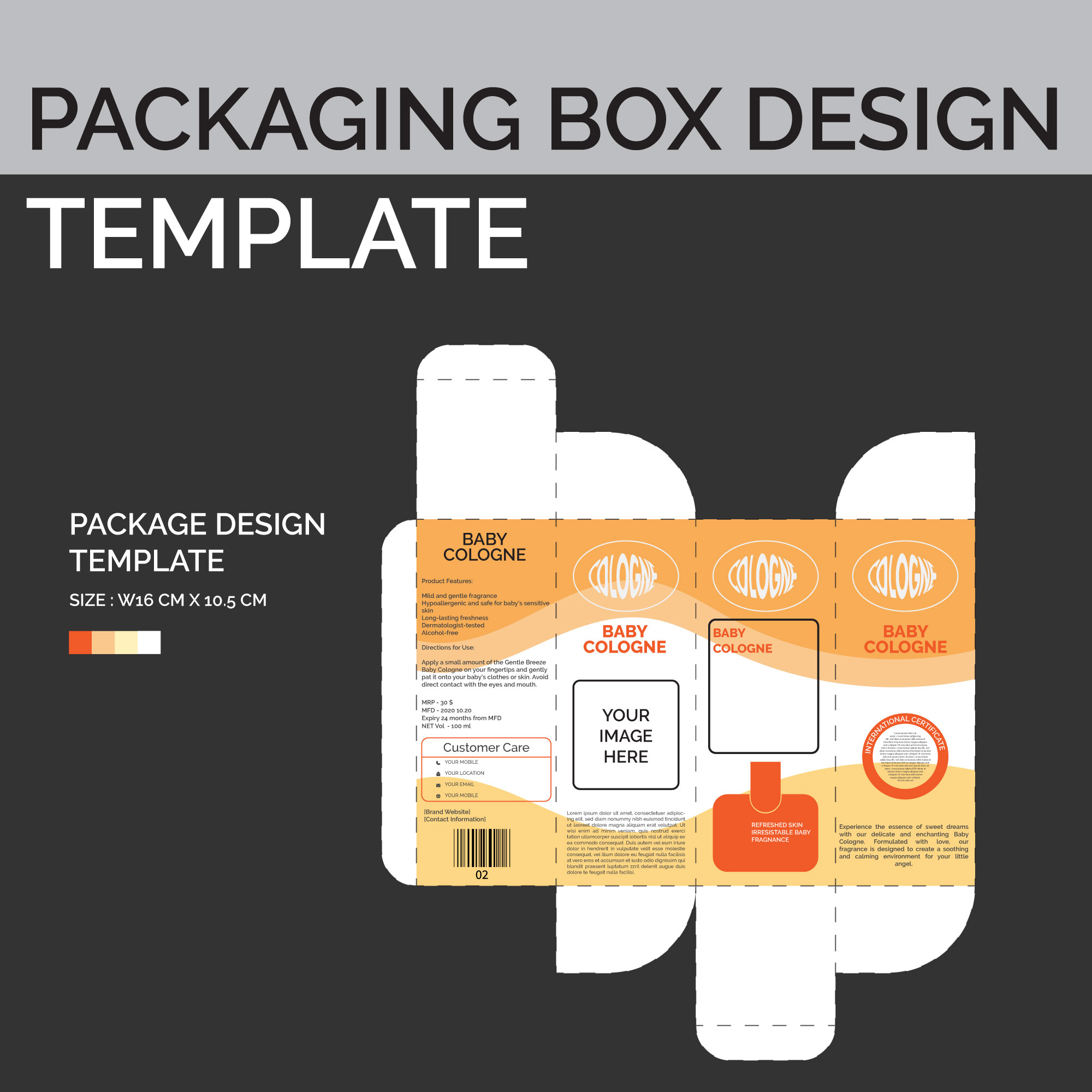 box packaging design vector