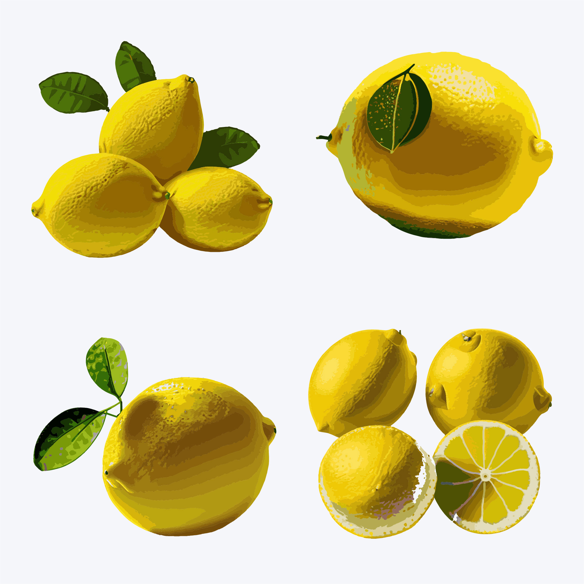 lemon set. vector illustration. isolated on white background 143