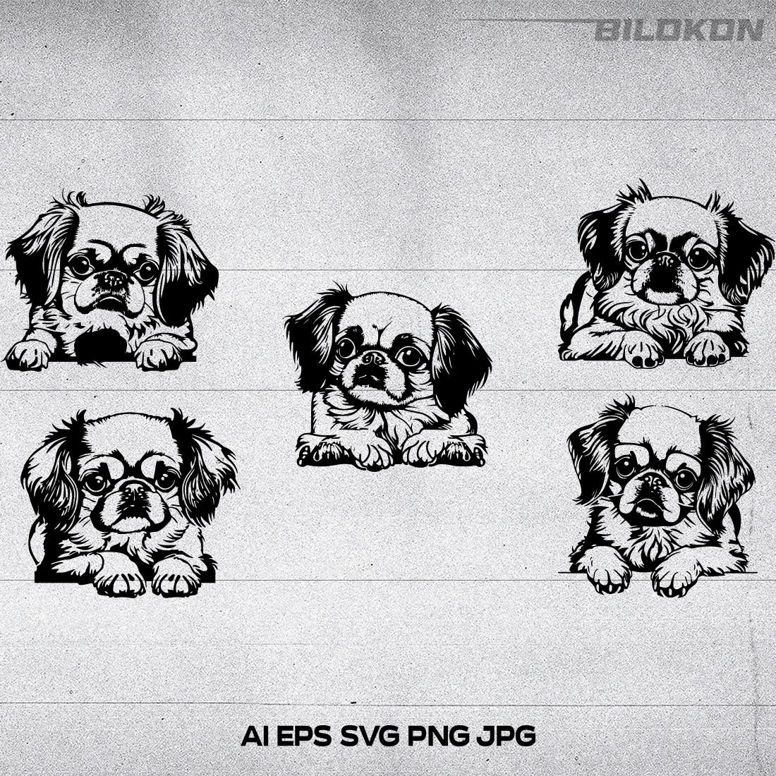 Pekingese dog head, SVG, Vector, Illustration, SVG Bundle cover image.