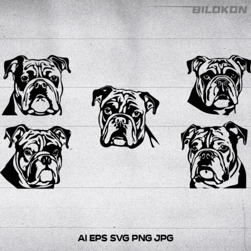 English Bulldog dog head, SVG, Vector, Illustration, SVG Bundle cover image.