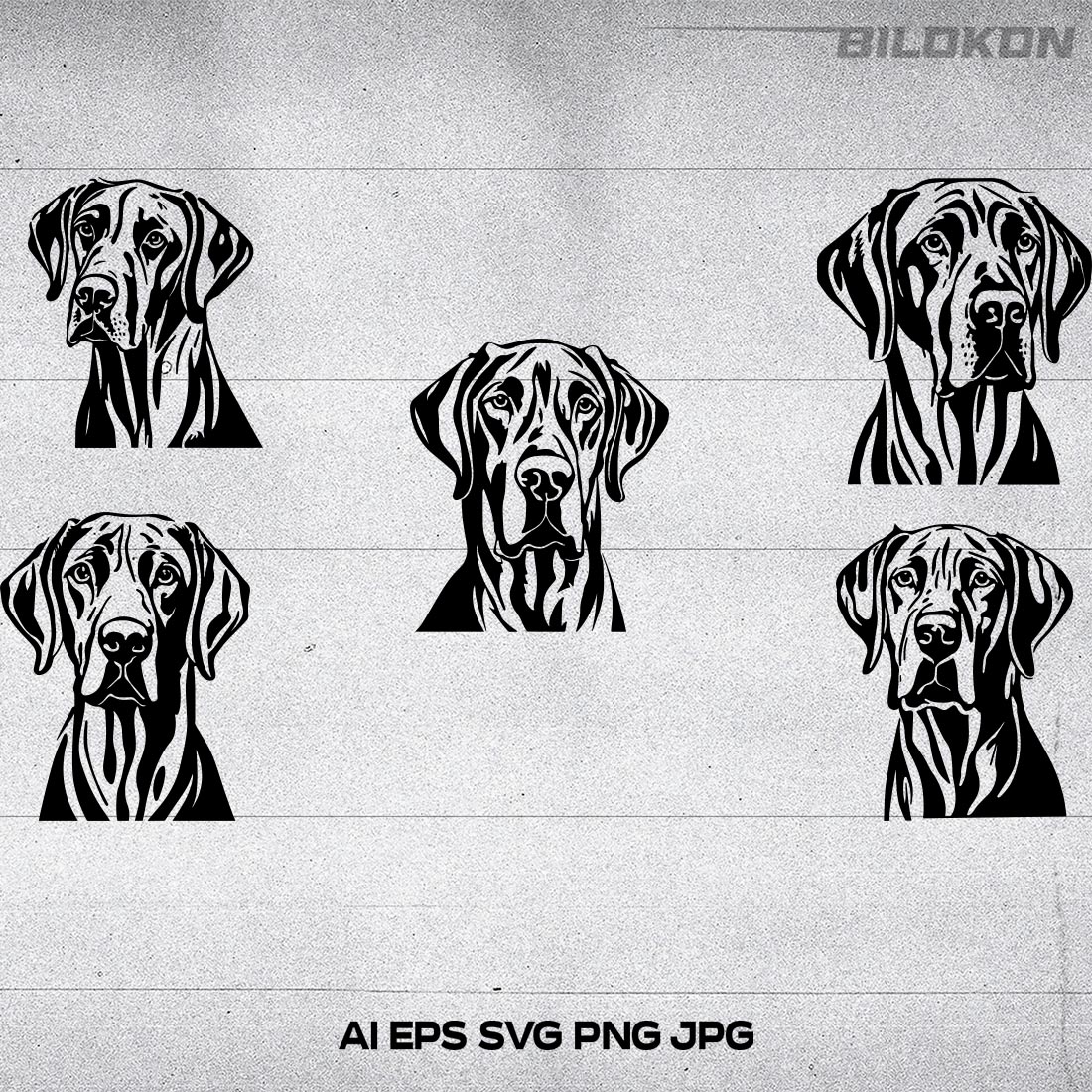 Great Dane dog head, SVG, Vector, Illustration, SVG Bundle cover image.
