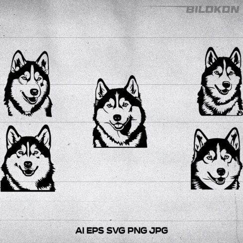 Husky dog head, SVG, Vector, Illustration, SVG Bundle cover image.