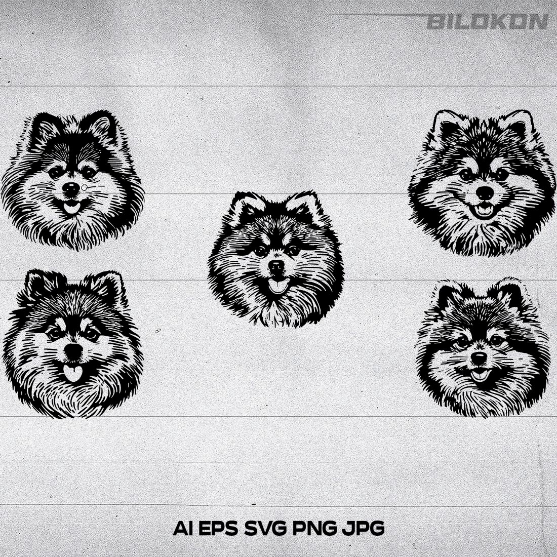 Pomeranian spitz dog head, SVG, Vector, Illustration, SVG Bundle cover image.