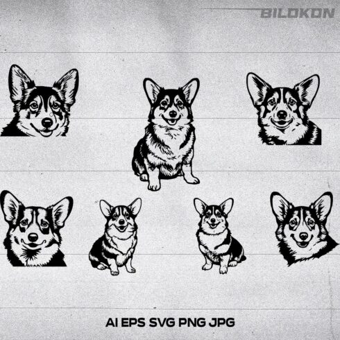 Corgi dog head, SVG, Vector, Illustration, SVG Bundle cover image.