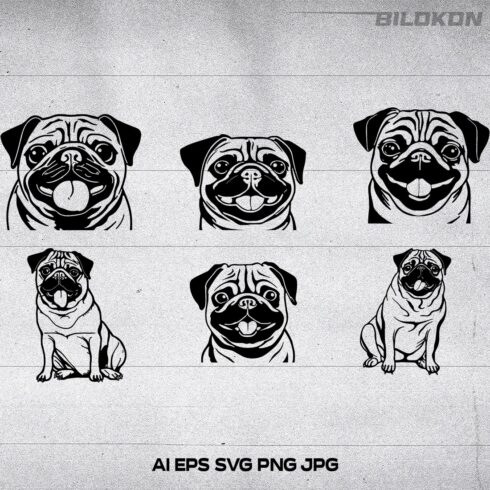 Pug dog head, SVG, Vector, Illustration, SVG Bundle cover image.