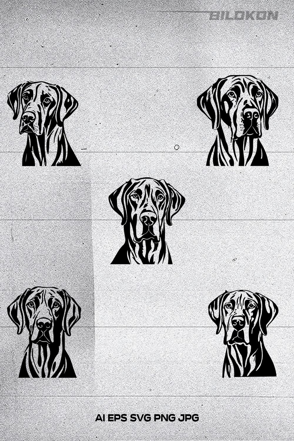 Great Dane dog head, SVG, Vector, Illustration, SVG Bundle pinterest preview image.