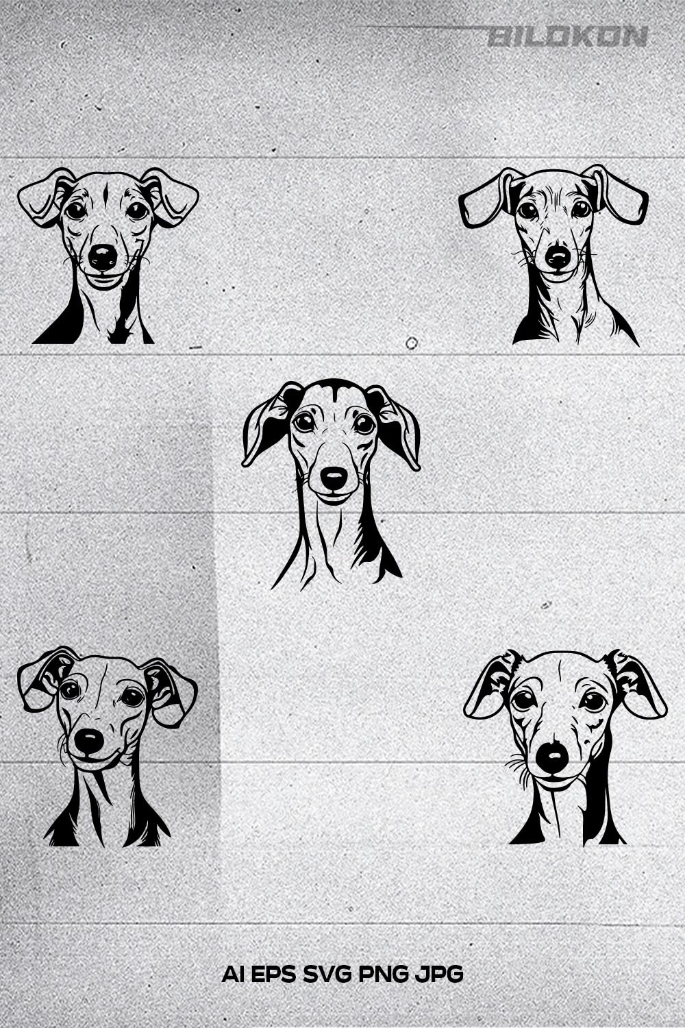 Italian greyhound dog head, SVG, Vector, Illustration, SVG Bundle pinterest preview image.