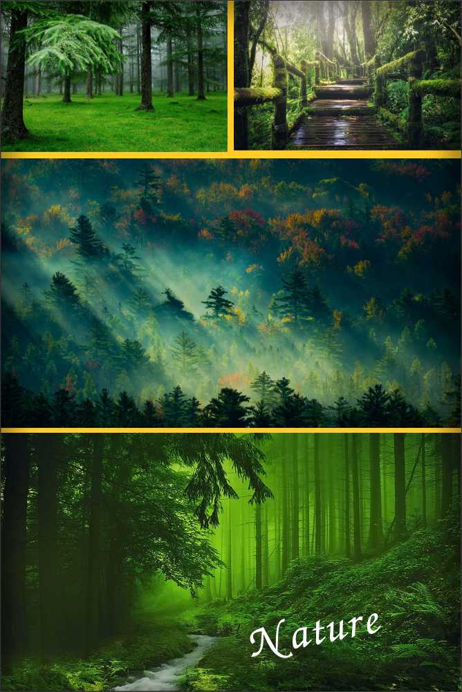 NATURE IMAGES pinterest preview image.