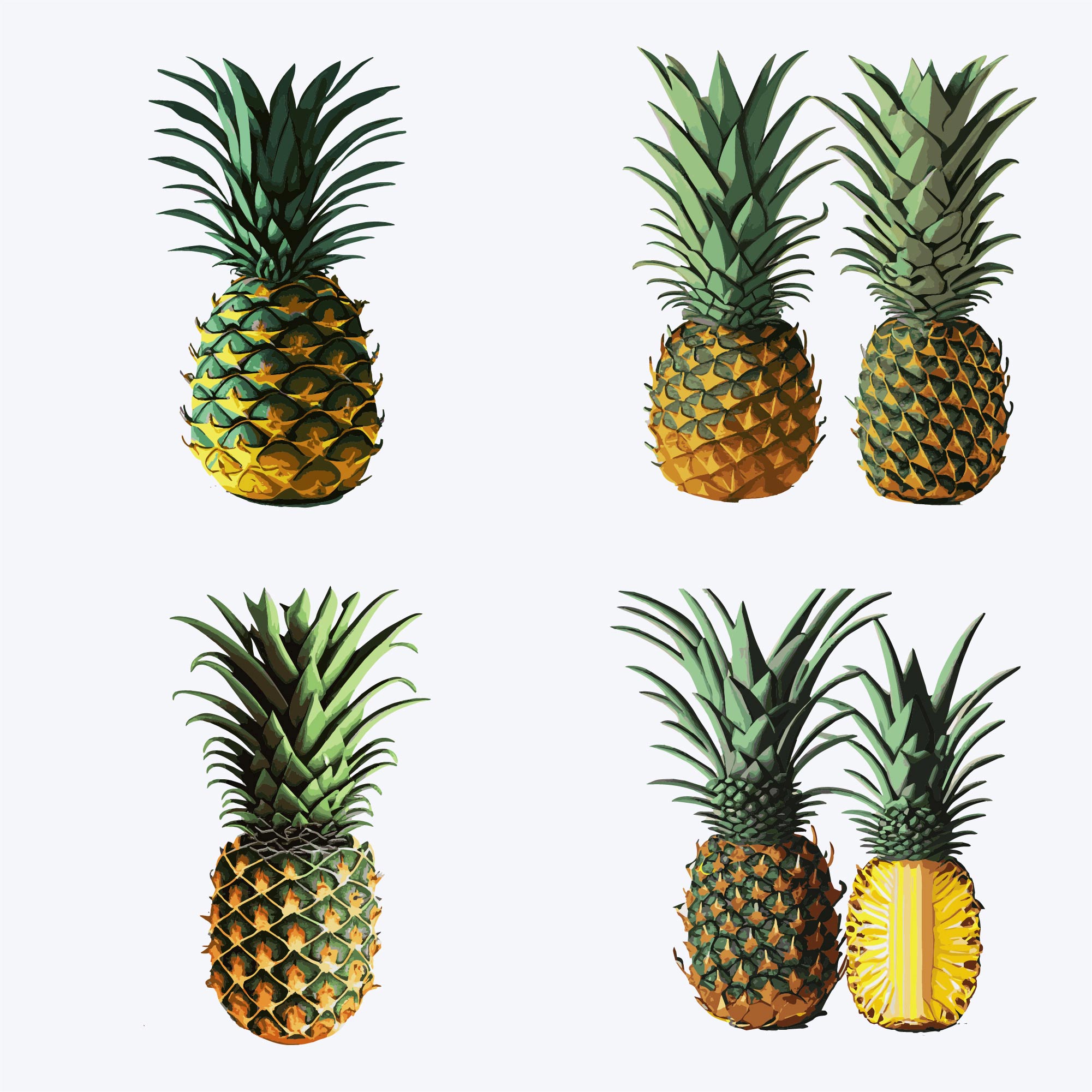 pineapples set vector illustration. isolated on white background 489