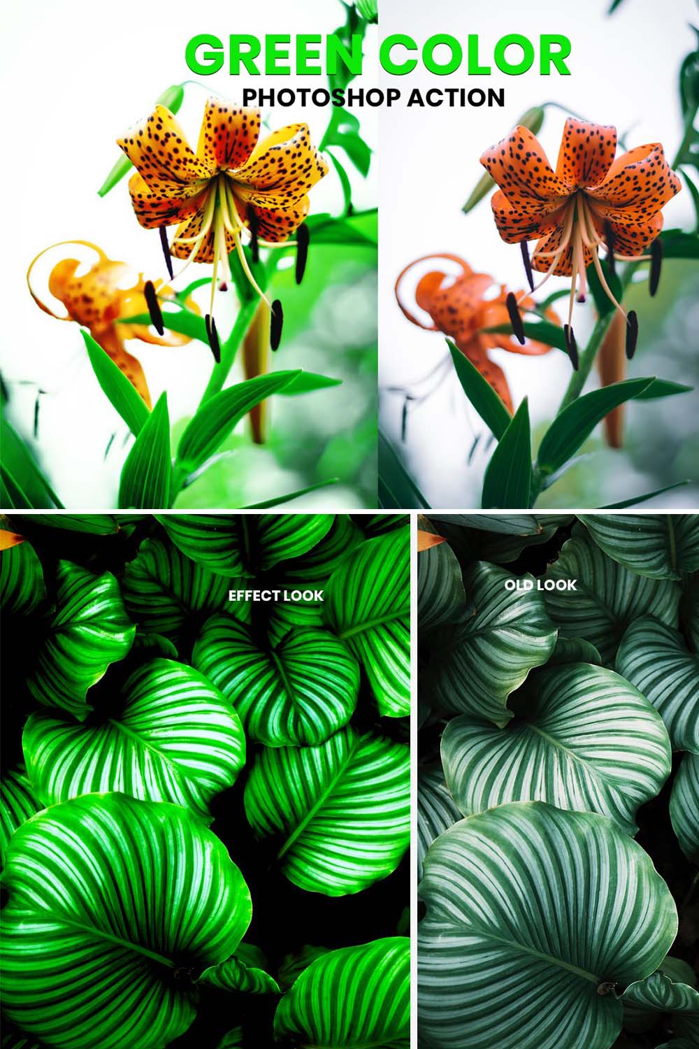 Green Color Photoshop Action pinterest preview image.