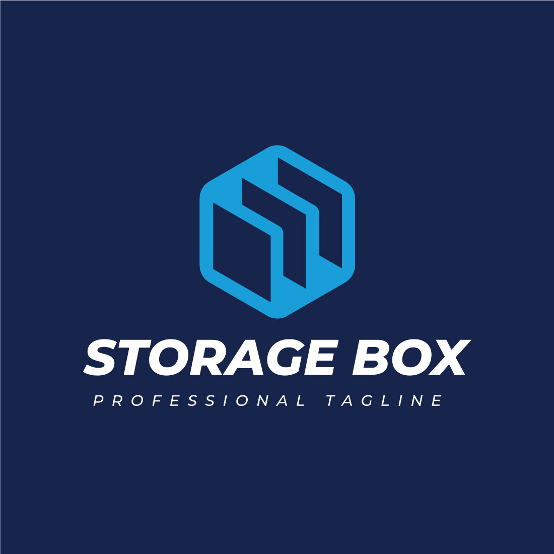 Storage Box Logo design template preview image.