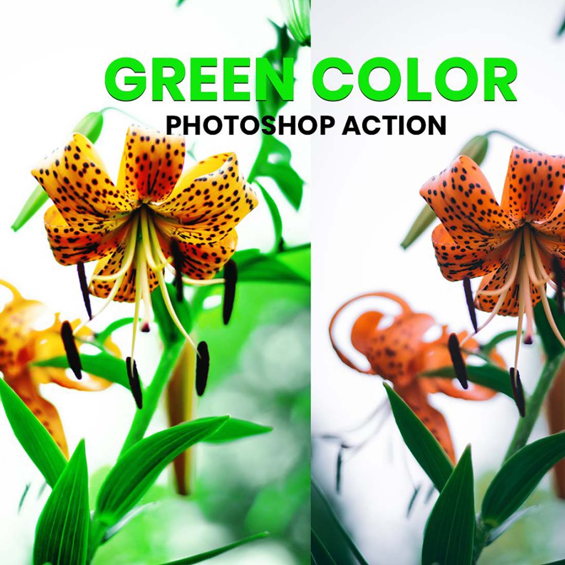 Green Color Photoshop Action cover image.