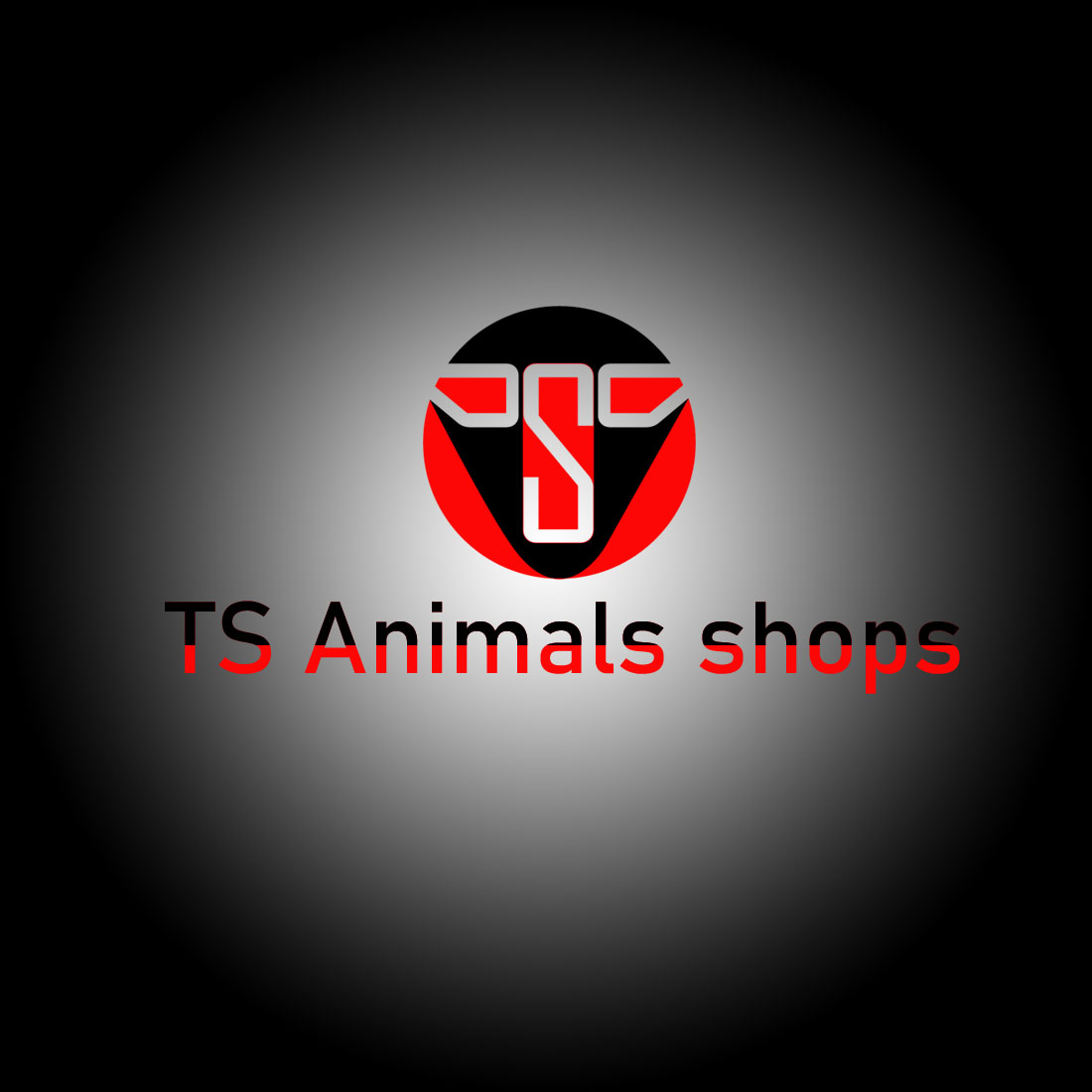 TS logo for any brand preview image.