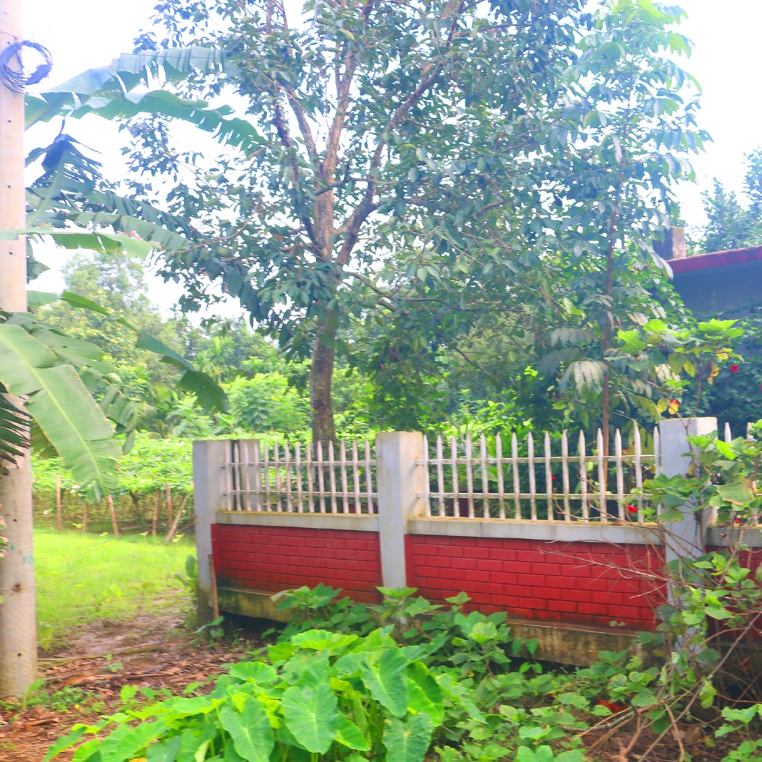 Tree Ghar village people & roads stock photos in Bangladesh cover image.