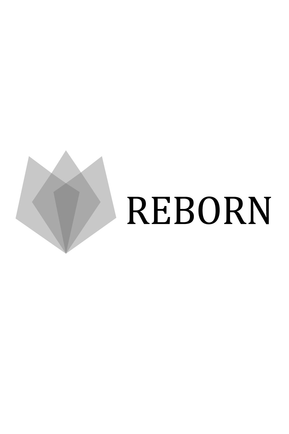 Reborn company logo pinterest preview image.