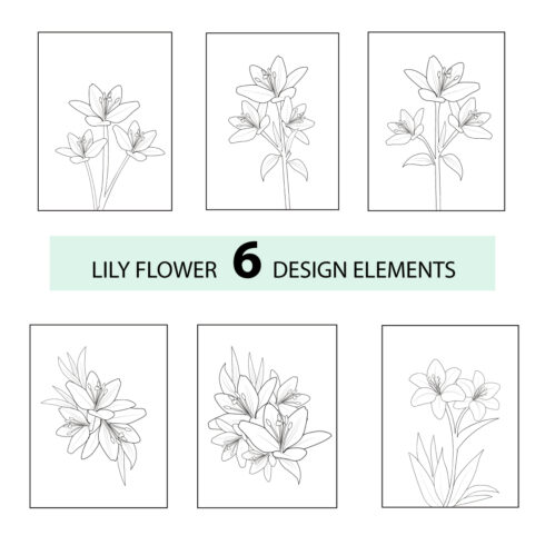pencil realistic calla lily drawing, sketch realistic lily drawing, lily line drawing, lily flower vector cover image.