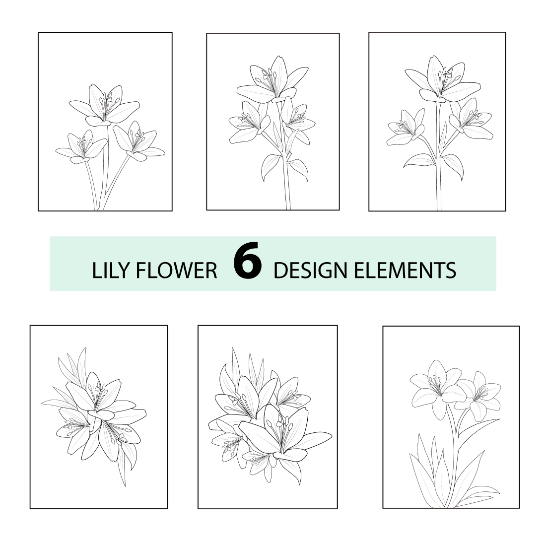Day Lily Sketch Detail High-Res Vector Graphic - Getty Images