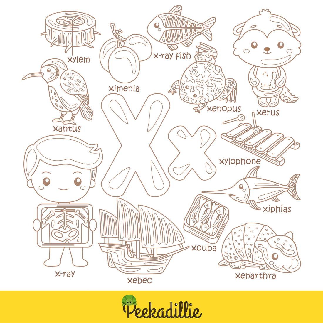 Alphabet X For Vocabulary School Letter Reading Writing Font Study Learning Student Toodler Kids Xylem Ximenia Xray Kids Xray Fish Xylophone Xenarthra Xebec Xantus Xenopus Xiphias Xerus Xouba Lesson Cartoon Coloring Pages For Kids and Adult preview image.