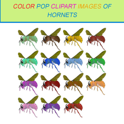 15 COLOR POP CLIPART IMAGES OF HORNETS cover image.