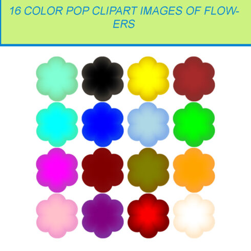 16 COLOR POP CLIPART IMAGES OF FLOWERS cover image.