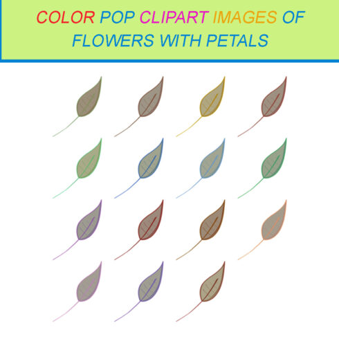 15 COLOR POP CLIPART IMAGES OF FLOWERS WITH PETALS cover image.
