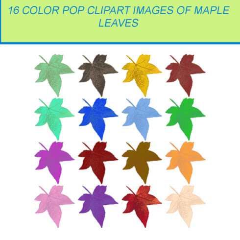 16 COLOR POP CLIPART IMAGES OF MAPLE LEAVES cover image.