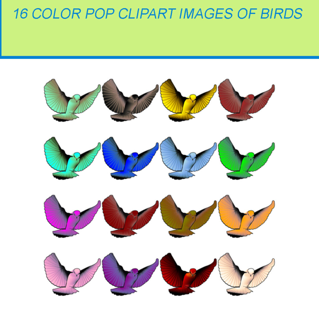 16 COLOR POP CLIPART IMAGES OF BIRDS - MasterBundles
