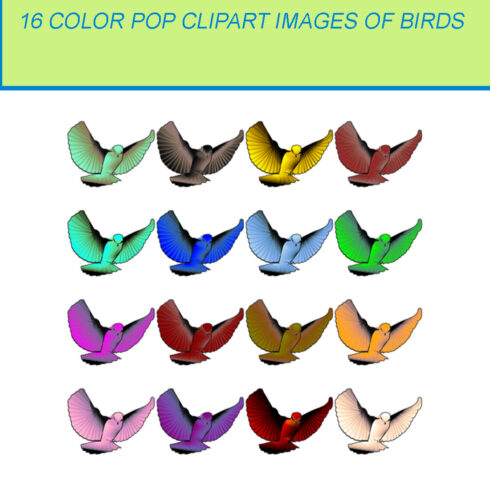 16 COLOR POP CLIPART IMAGES OF BIRDS cover image.