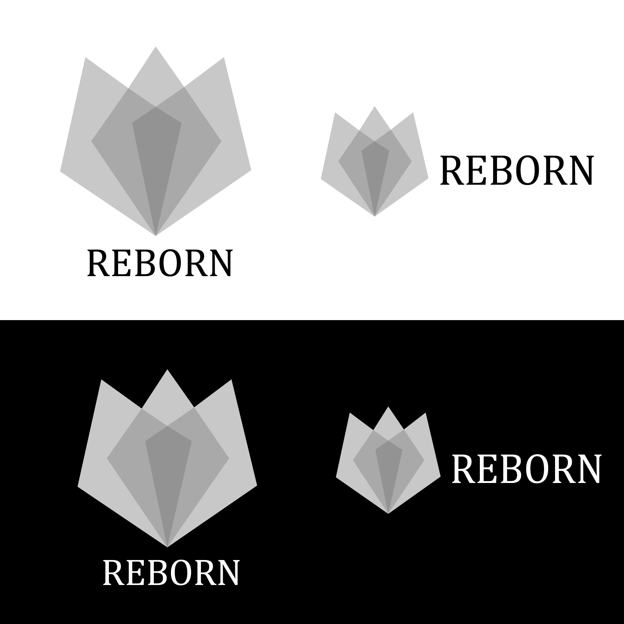 Reborn company logo cover image.