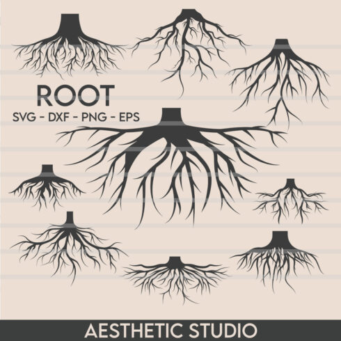 Root SVG, Root, Taproot, Tree Roots, Roots Clipart, Family Tree, Clipart, Silhouette, SVG, Root Hair, Eps, Vector, Silhouette, Vector, Outline, Cut file cover image.