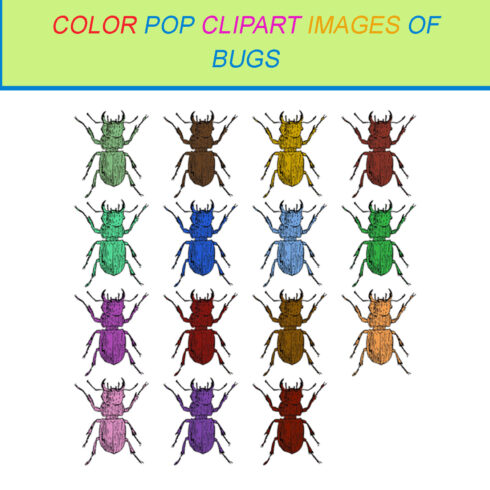 15 COLOR POP CLIPART IMAGES OF BUGS cover image.