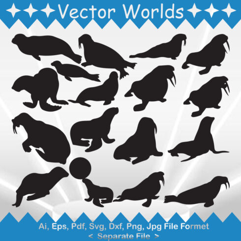 Walrus SVG Vector Design cover image.