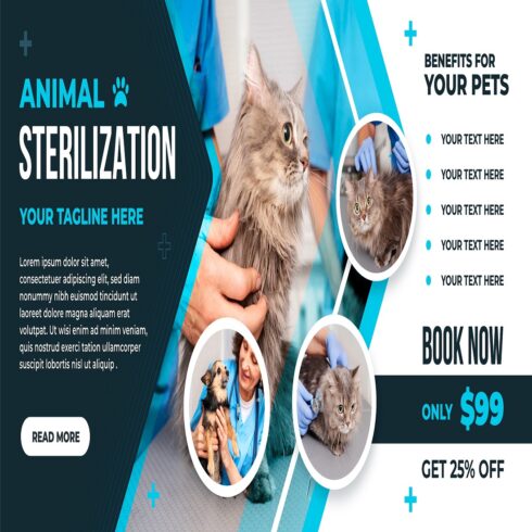 Hand drawn animal sterilization horizontal banner cover image.