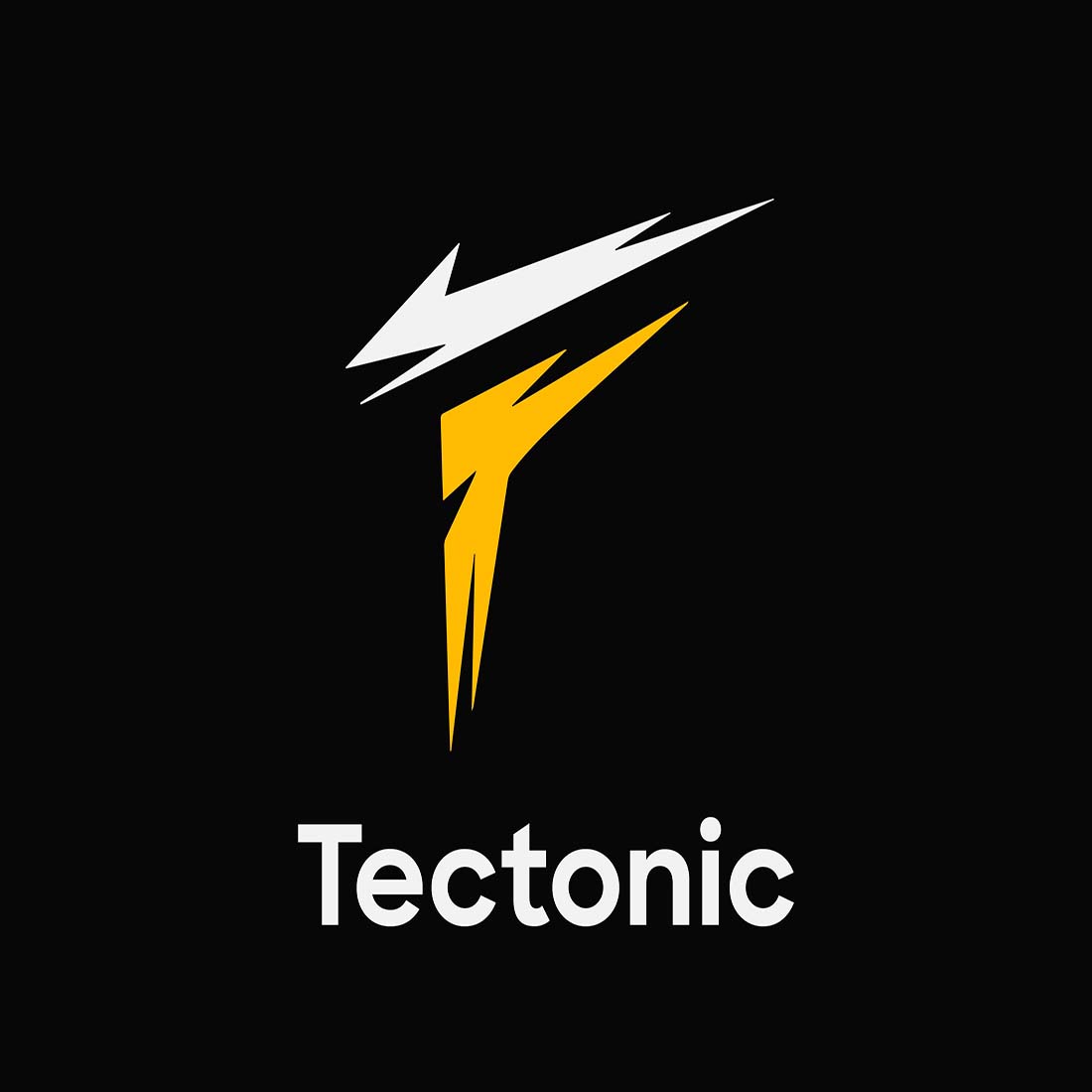 Modern Tectonic Logo Design Template preview image.