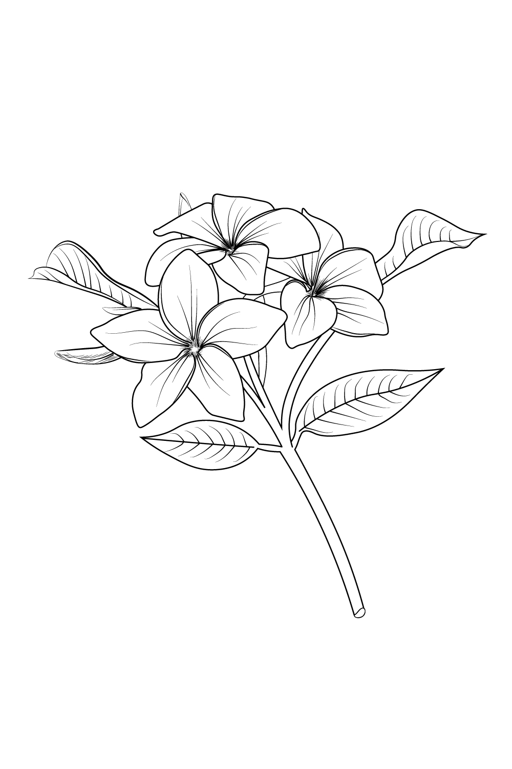 black plumeria flower tattoo