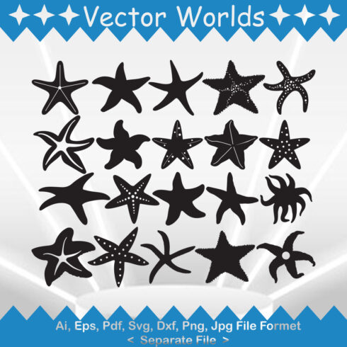 Starfish SVG Vector Design cover image.