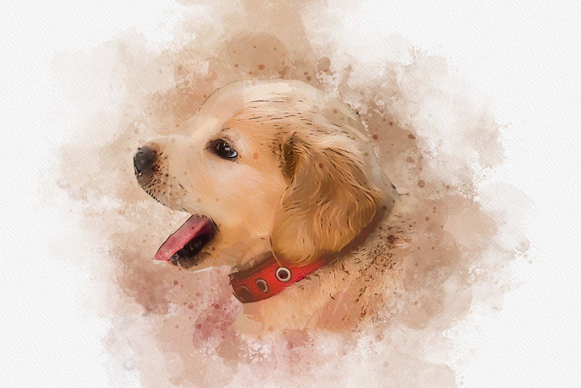 pet watercolor painting 14 669