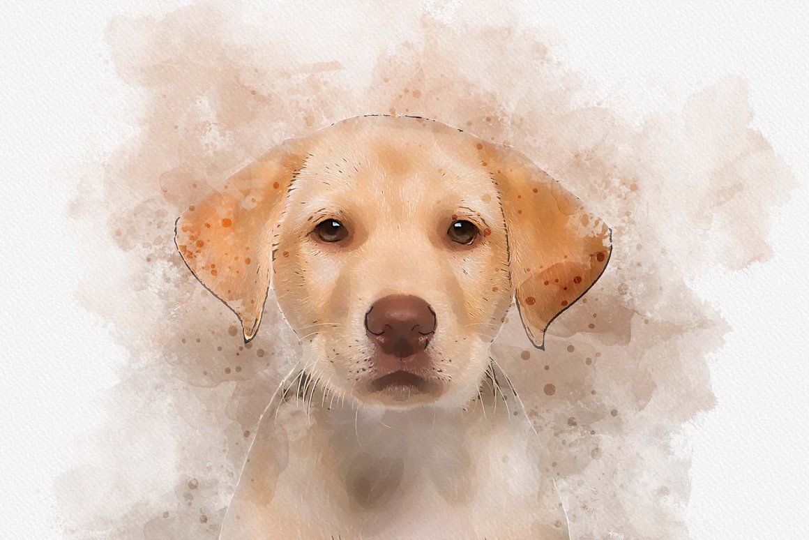 pet watercolor painting 8 654