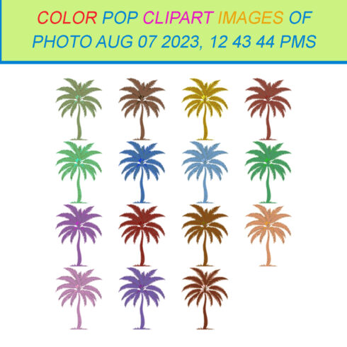 15 COLOR POP CLIPART IMAGES OF PHOTO AUG 07 2023, 12 43 44 PMS cover image.